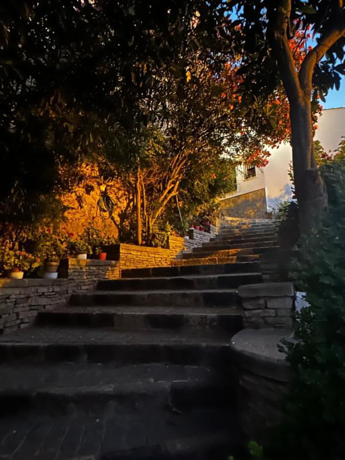 Apartamento ¨El Lizon¨ Setenil De Las Bodegas Eksteriør billede